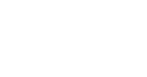 brightwheel logo white new